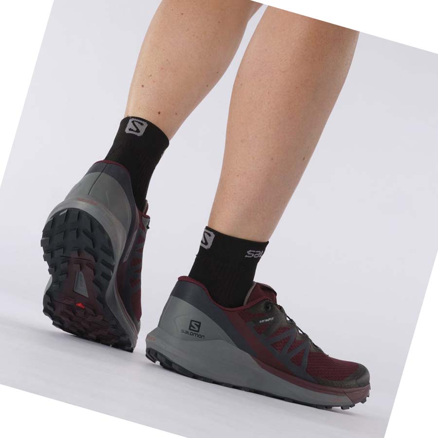 Tenis Para Trail Running Salomon SENSE RIDE 4 Mujer Morados | MX 2749KOR